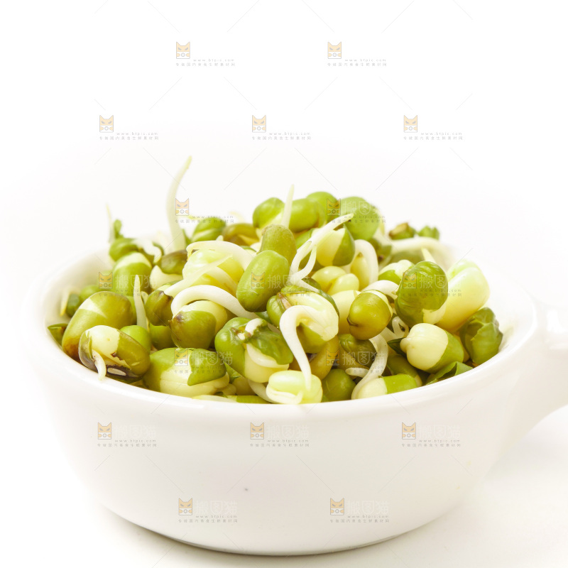 白底上的绿豆芽