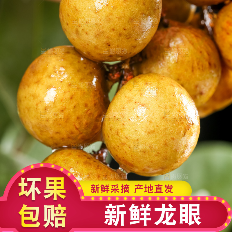 手里拿着新鲜龙眼