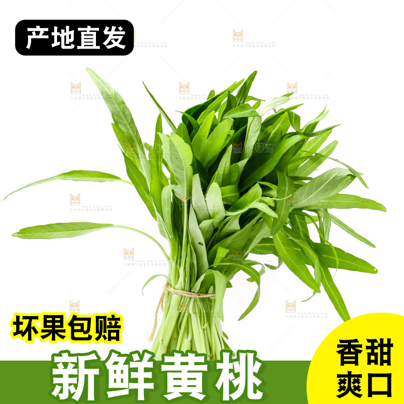 白底上放着空心菜
