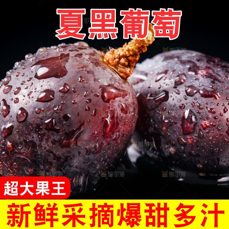 黑底上的夏黑葡萄