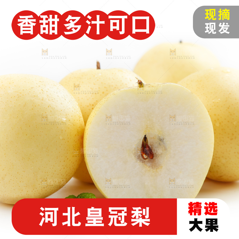 白底上摆放着河北皇冠梨