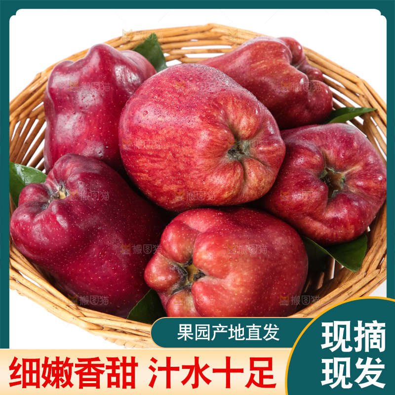 篮子里的蛇果