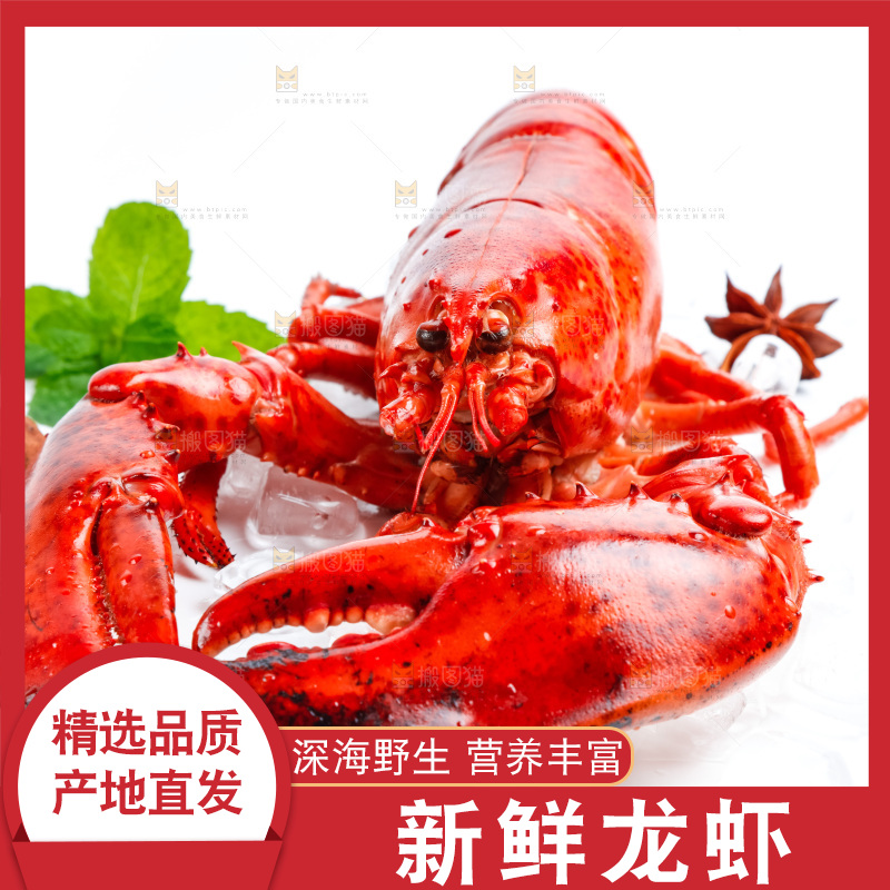 白底上放着大龙虾