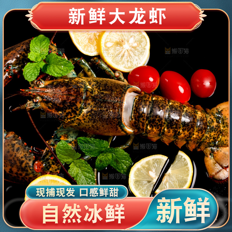 深底上放着澳洲龙虾