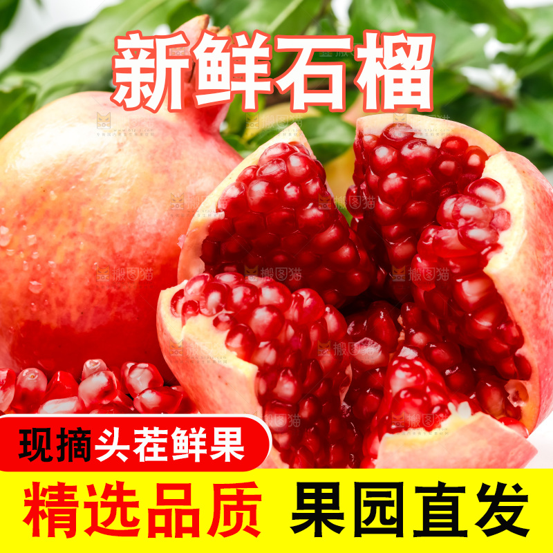 突尼斯软籽石榴放在浅底上