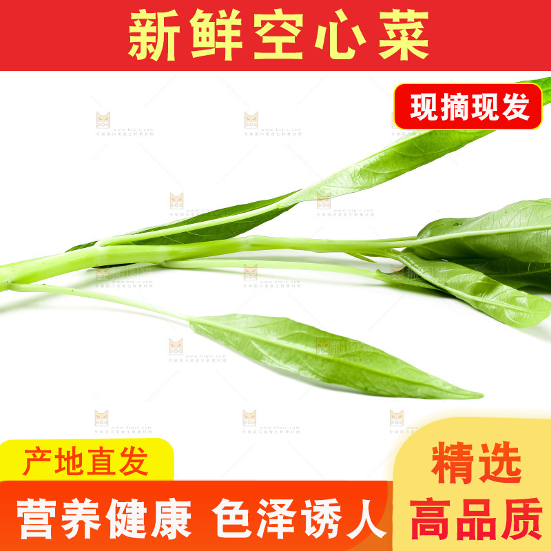 白底上放着新鲜空心菜