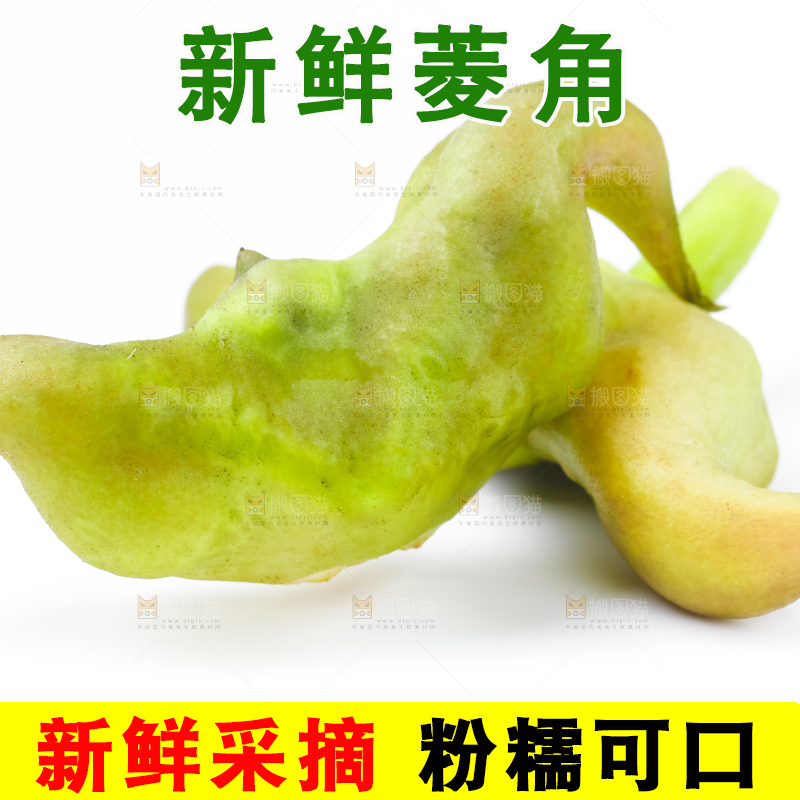 浅底上的新鲜菱角