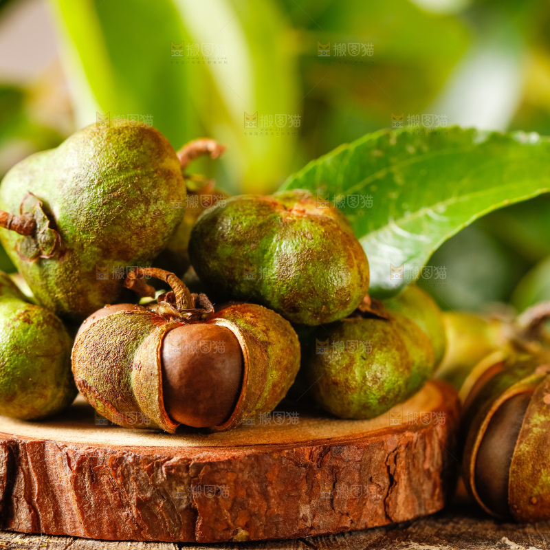 木板上放着茶籽