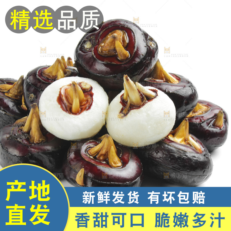 白底上摆放着广西荔浦马蹄