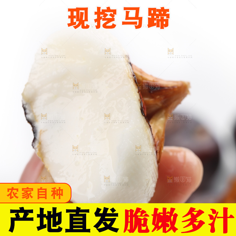 白底上放着广西马蹄