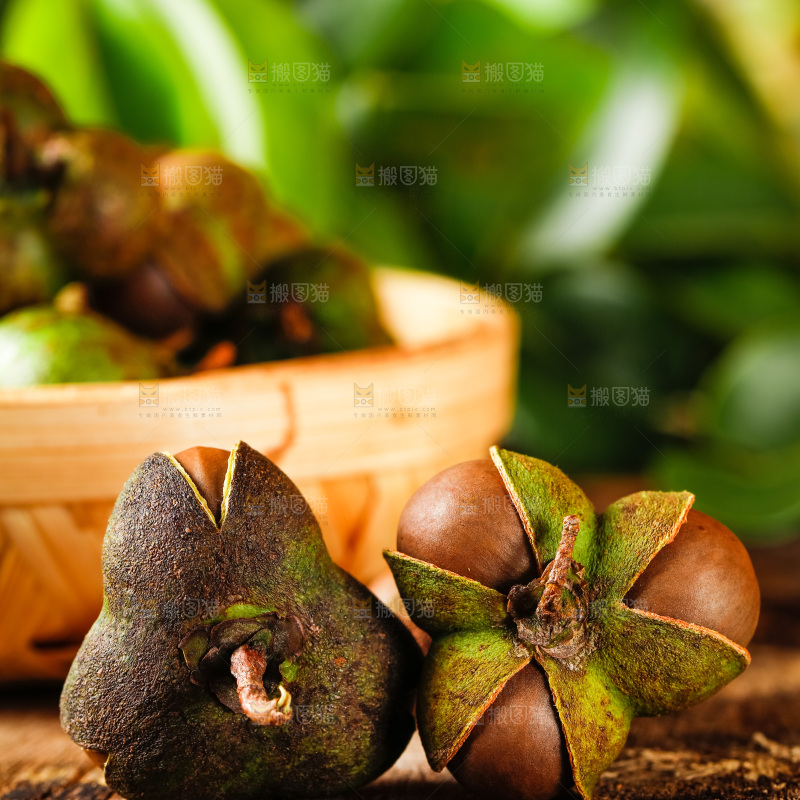 深底上的茶树果