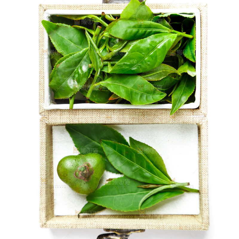 盒子里的新鲜茶叶