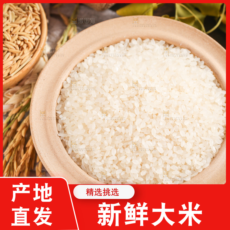 盘子里的大米