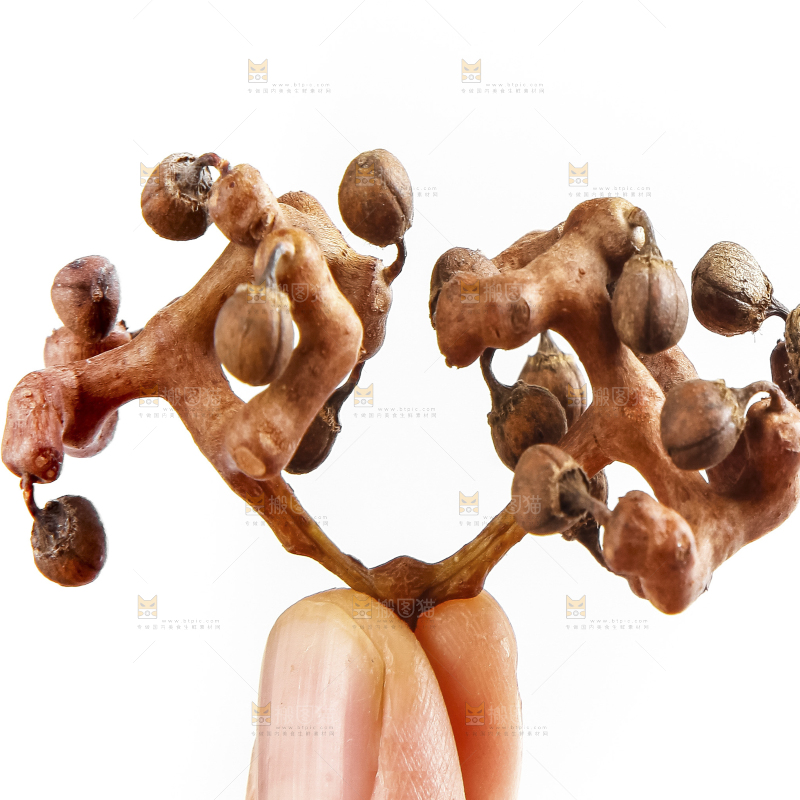 白底上放着拐枣果