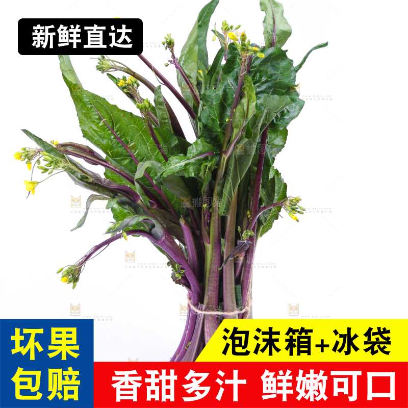 白底上放着紫菜苔