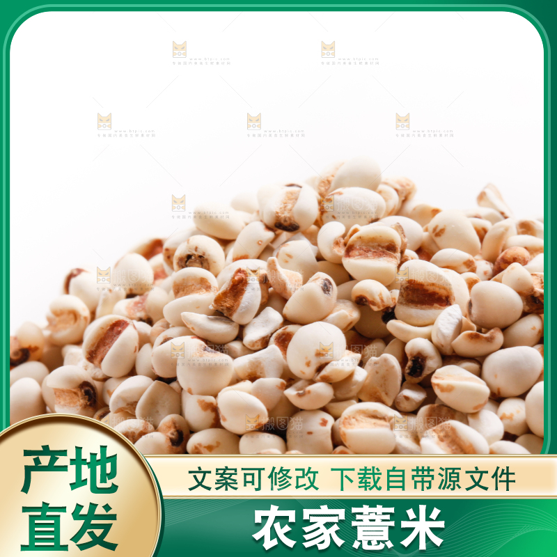 浅底上放着贵州薏米