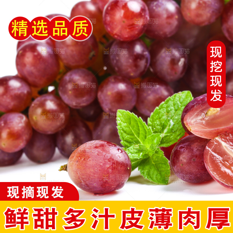 新鲜提子放在白底上