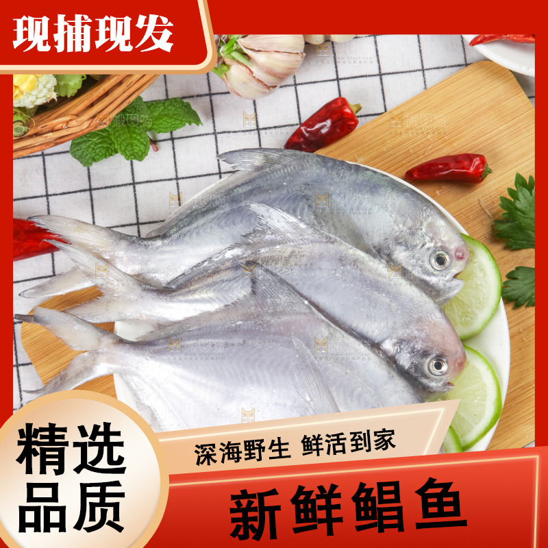 木板上放着银鲳鱼