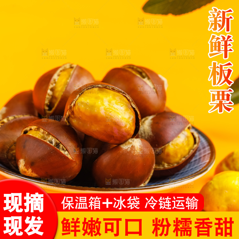 黄底上的迁西板栗
