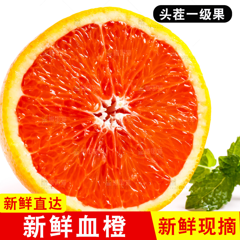 白底上的血橙