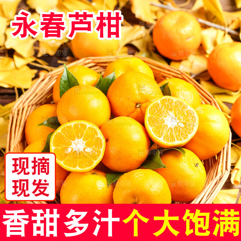 篮子里装着一篮椪柑