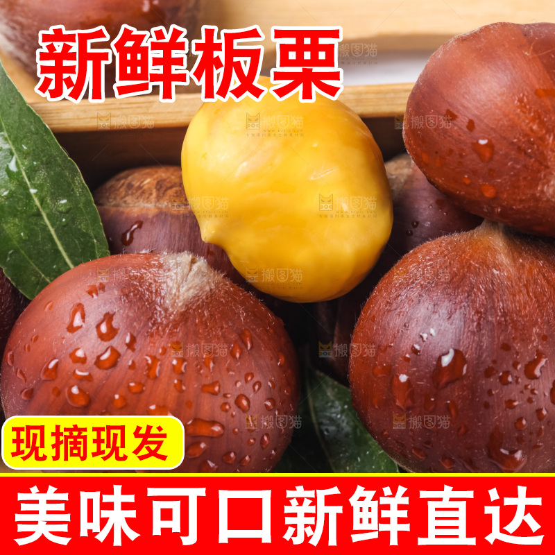 白底上的新鲜板栗