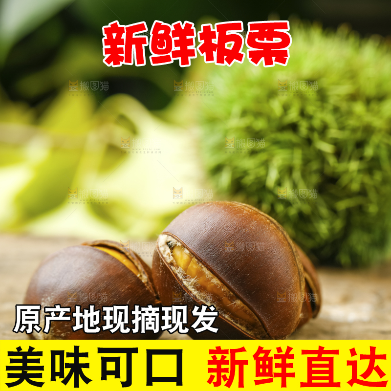 深底上的迁西板栗