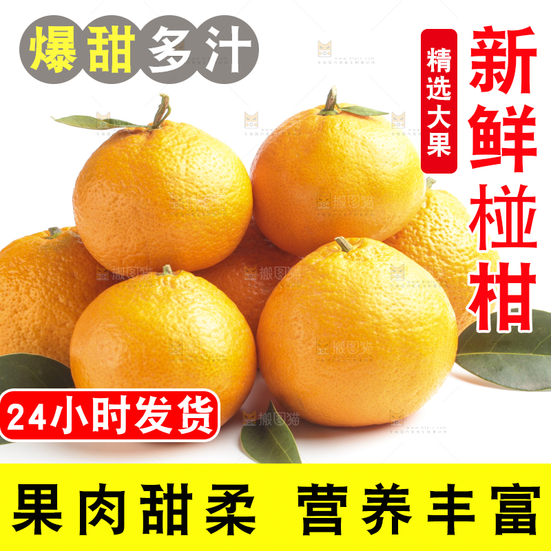 白底上的椪柑