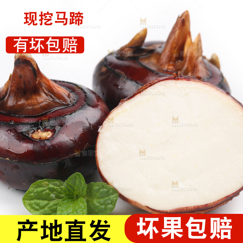 白底上放着广西马蹄