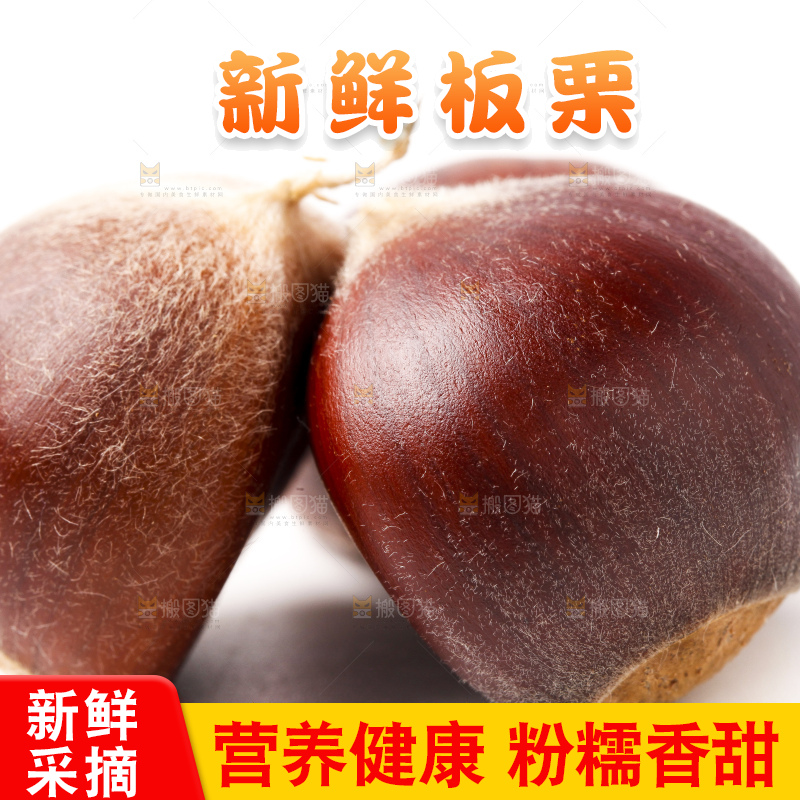 白底上放着迁西板栗