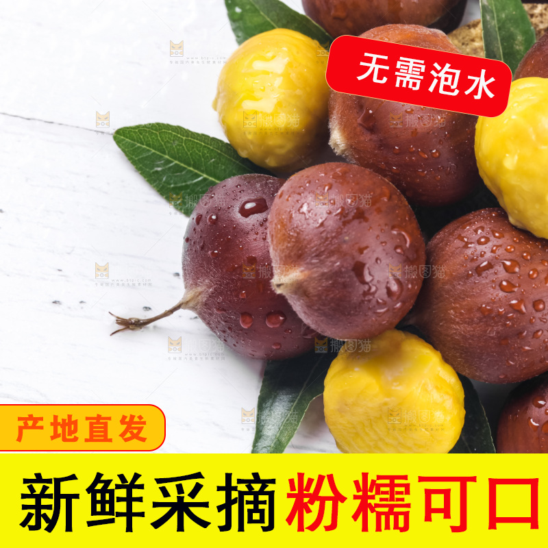 白底上的新鲜板栗