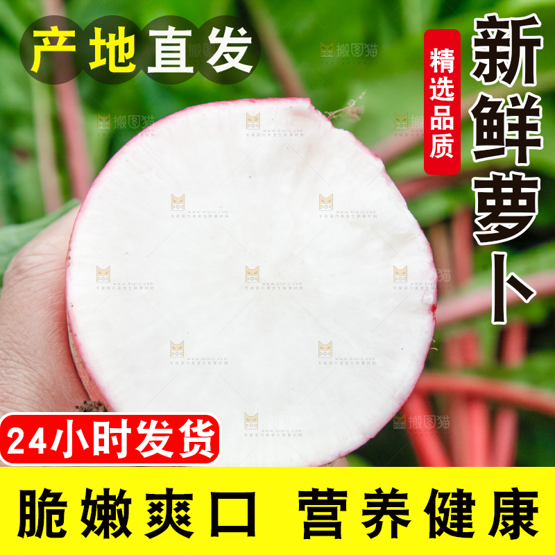 手里拿着红萝卜