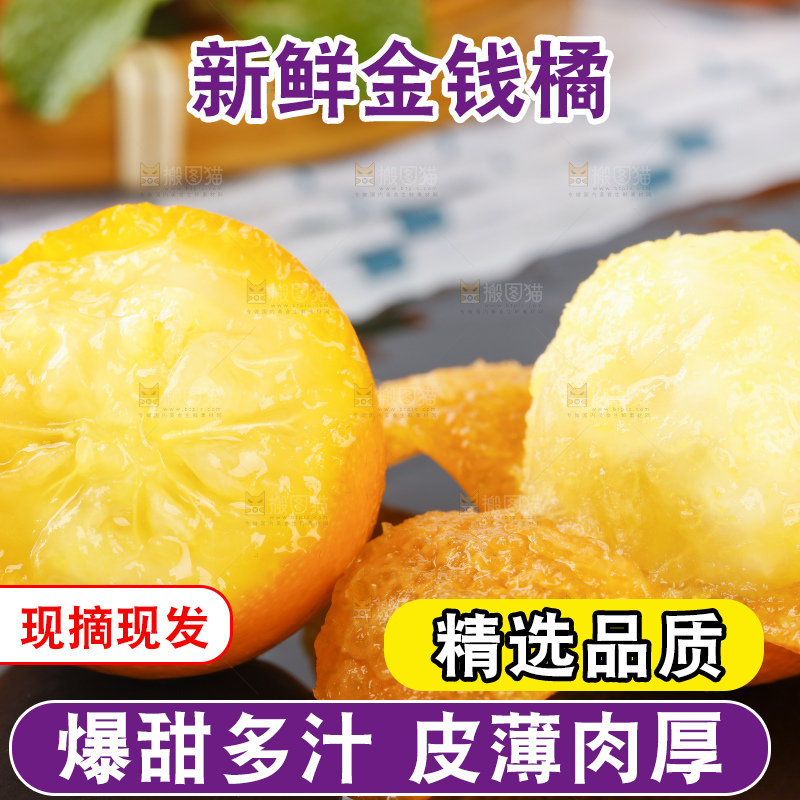 黑石板上的广西金钱橘