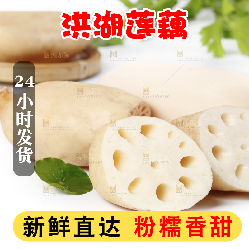 白底上一堆湖北洪湖莲藕