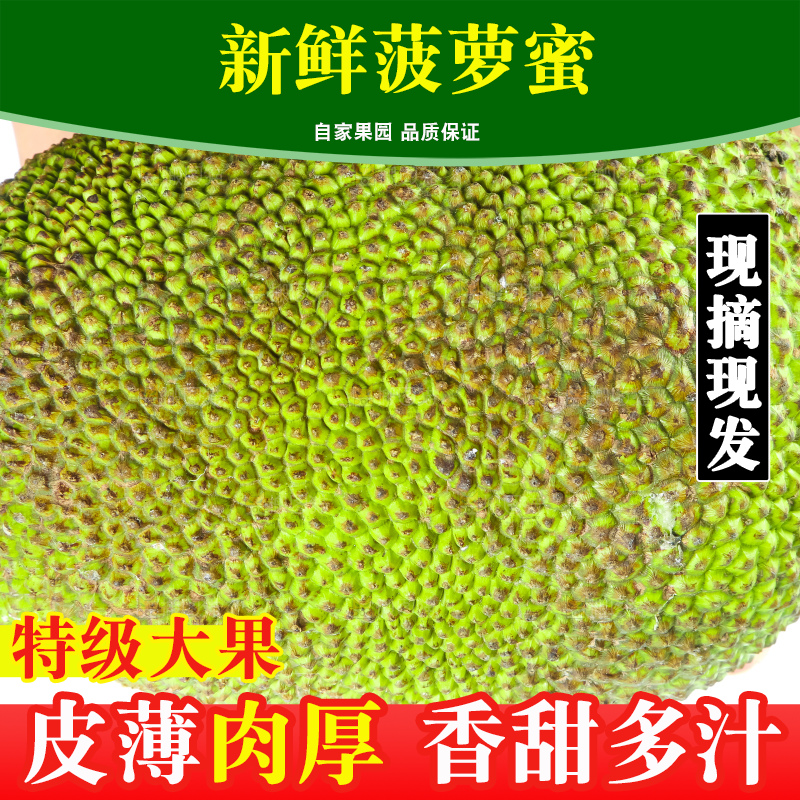 手里抱着新鲜菠萝蜜