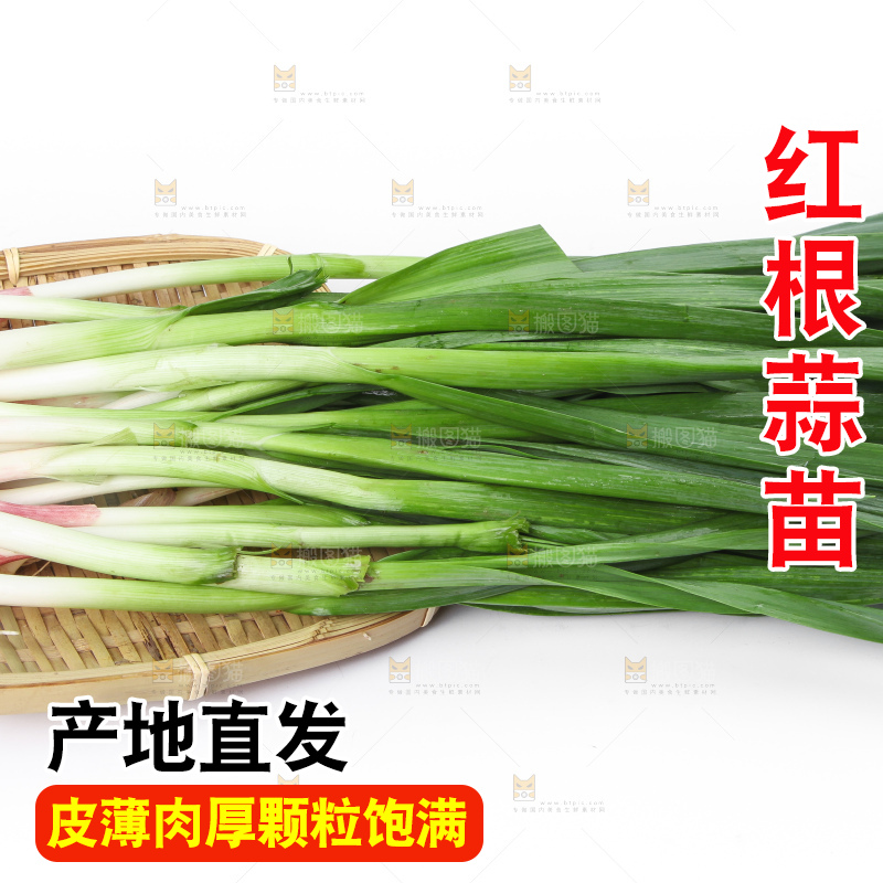 白底上放着蒜苗