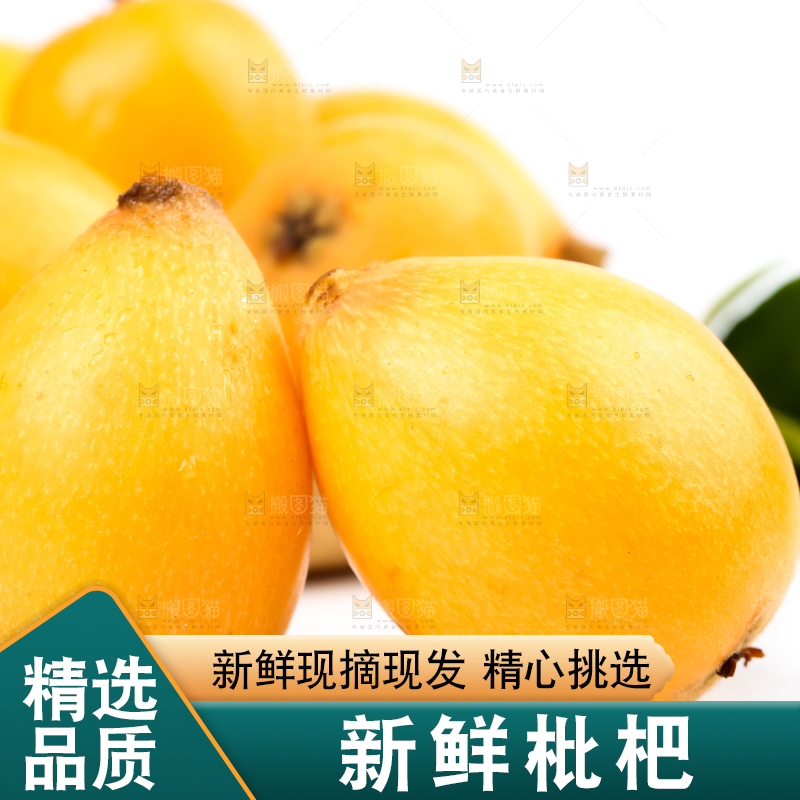 白底上放着攀枝花米易枇杷