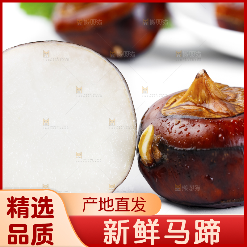 白底上放着广西马蹄