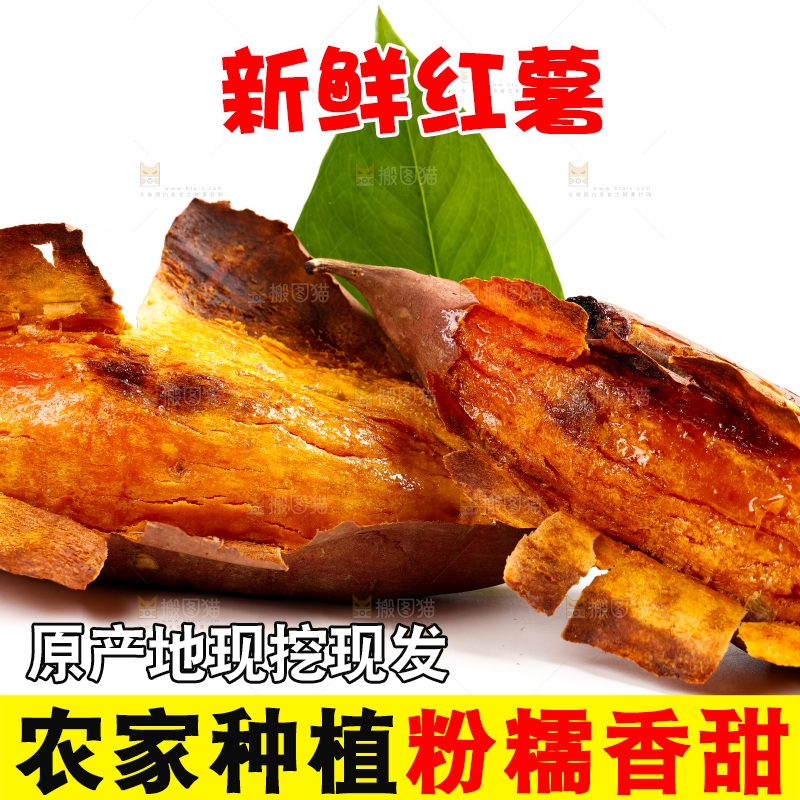 白底上的红薯