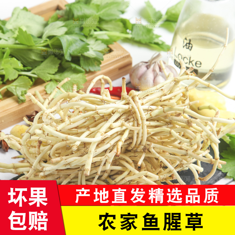 石板上放着折耳根