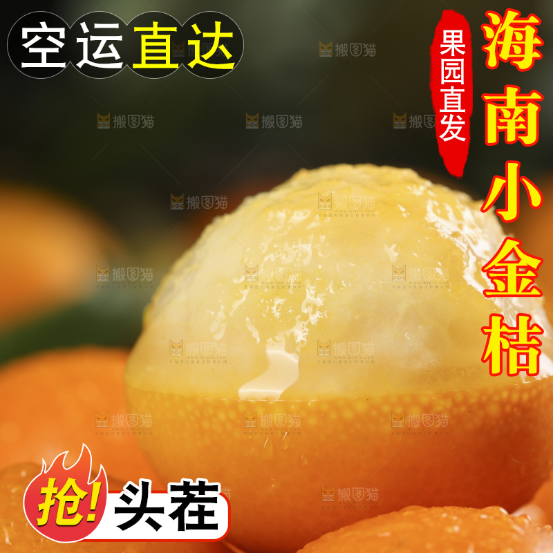 黑石板上的广西金钱橘