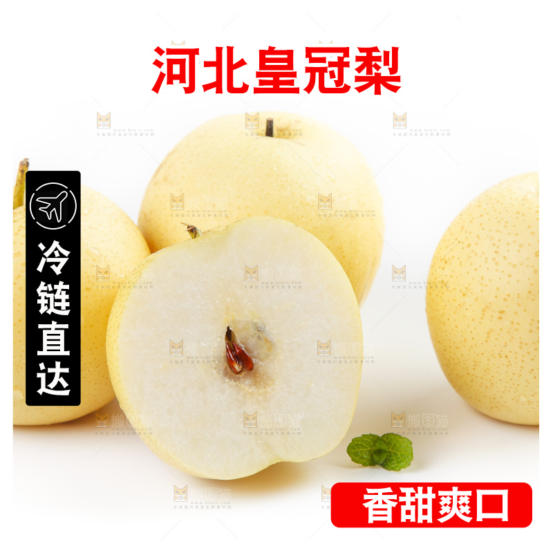 白底上摆放着河北皇冠梨