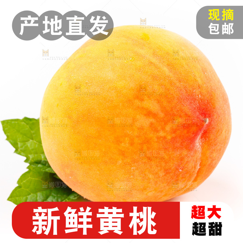 白底上的黄桃