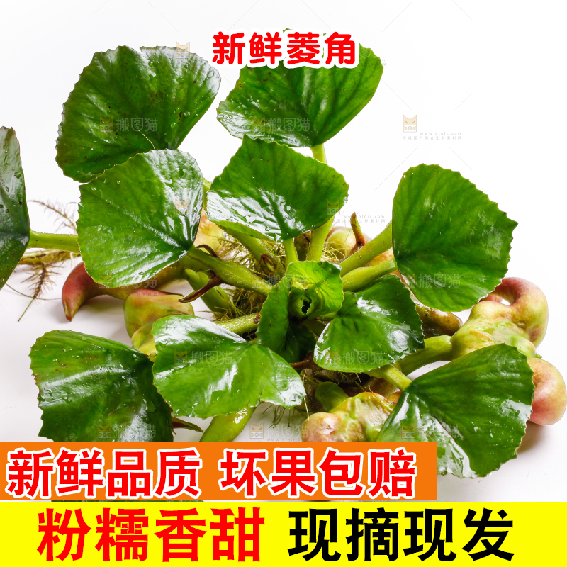 浅底上放着洪湖菱角
