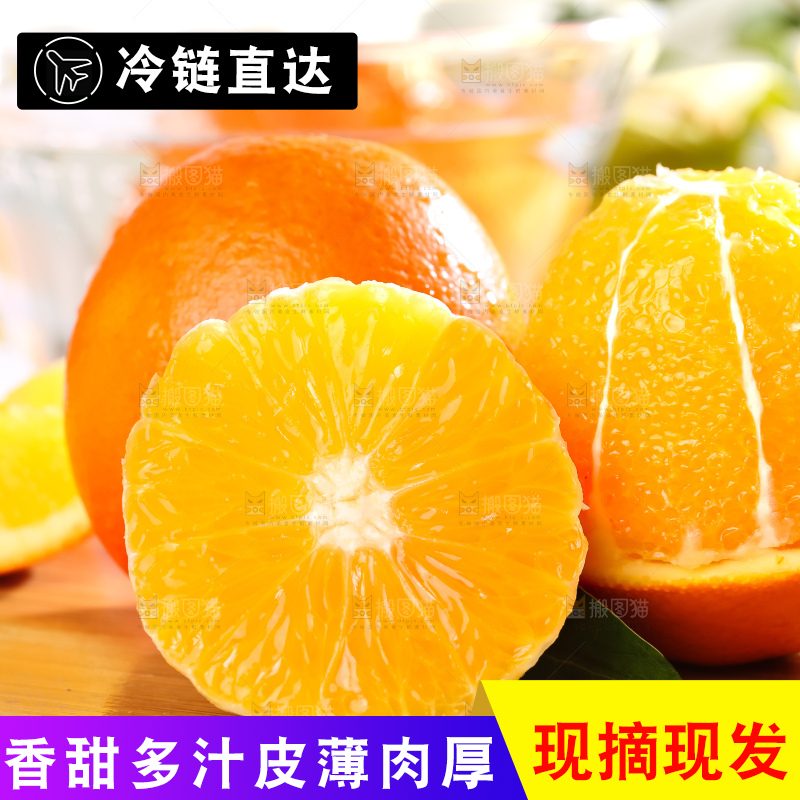 黄板子上的冰糖橙