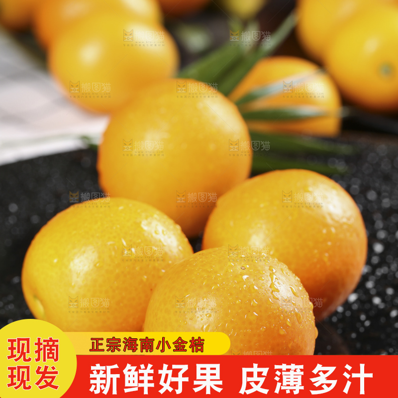 黑石板上的广西金钱橘
