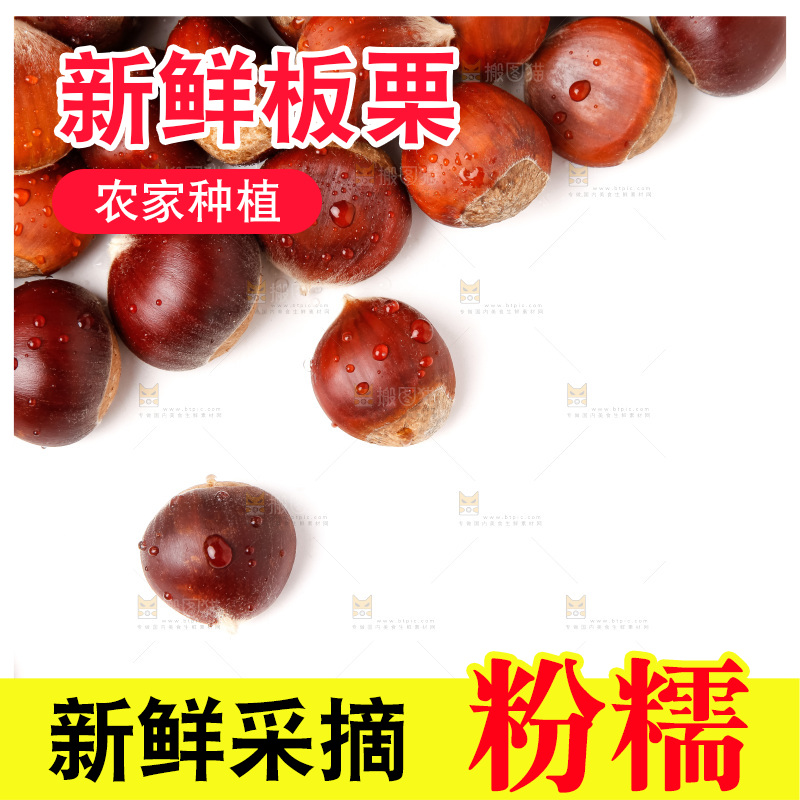 白底上的新鲜栗子