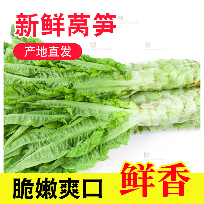 白底上的莴笋