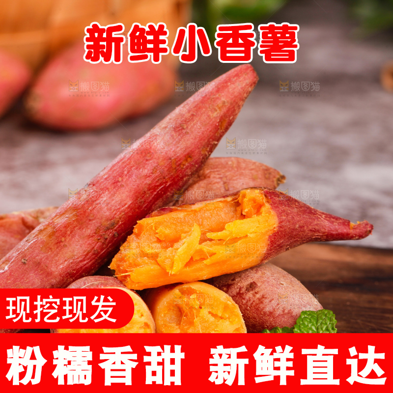 深底上的天目山小香薯