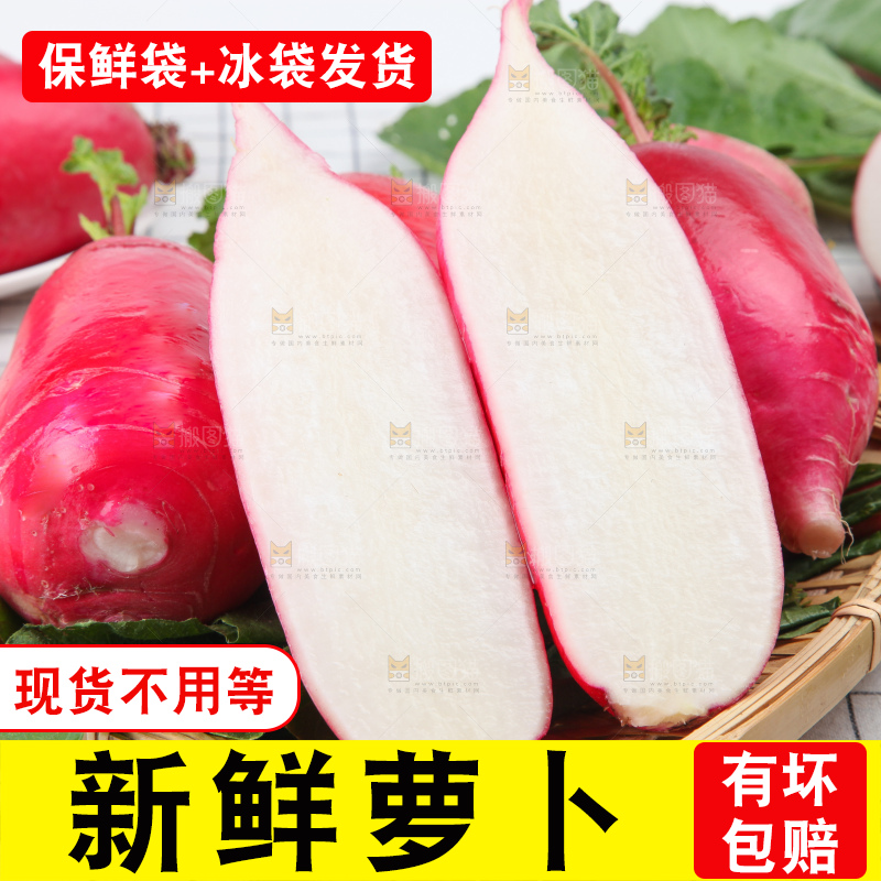 白格子底上的湖北红皮萝卜
